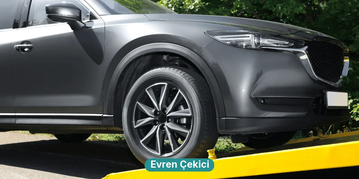 Evren Çekici