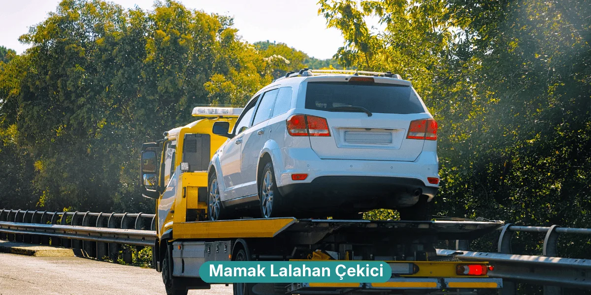 Mamak Lalahan Çekici